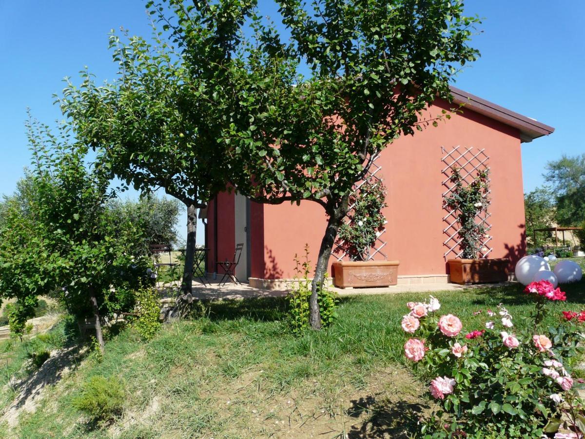 L'Antigo Granaro Guest House Agugliano Exterior photo